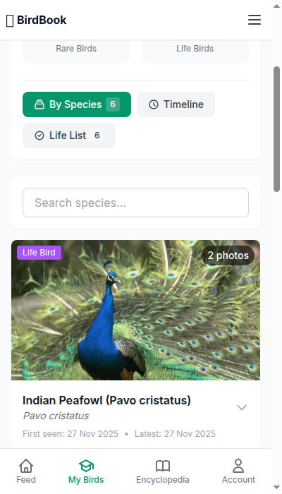 My Birds Collection